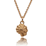 Seashell Necklace Gold Plated — Bali